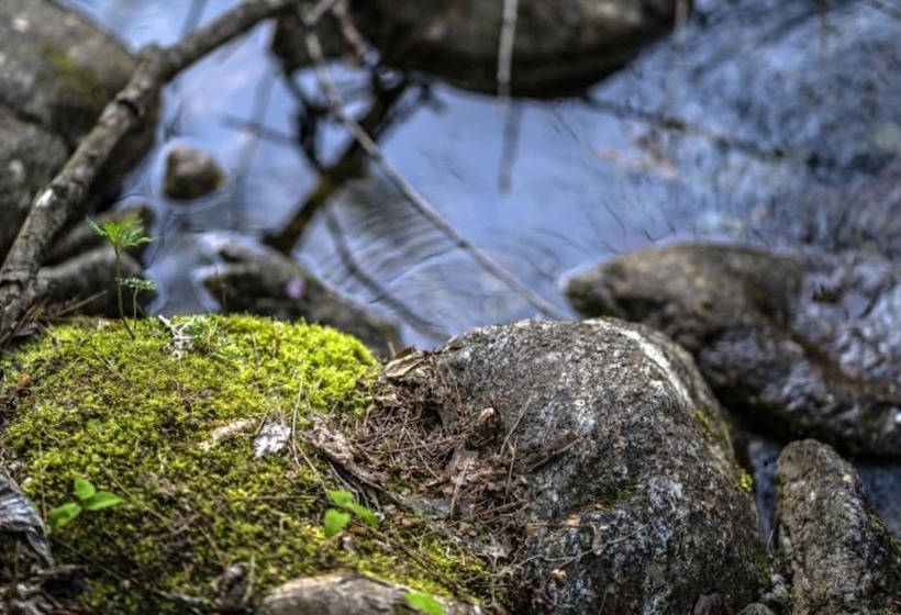 Danyang Sanmaru Pension