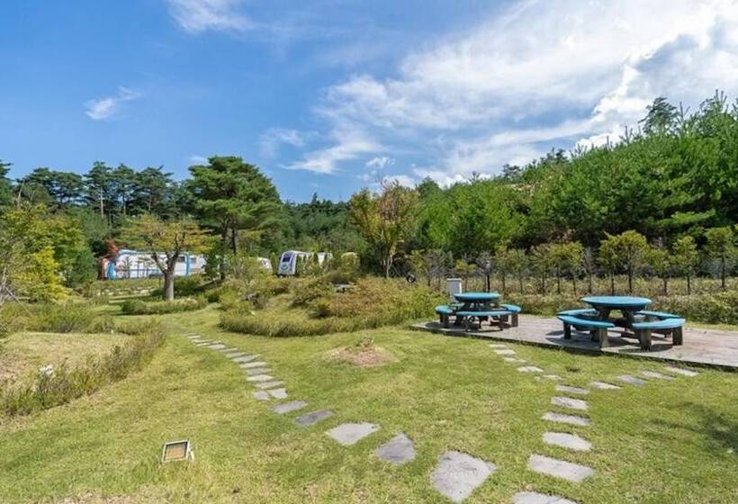 Gangneung Sea Cloud Caravan Pension