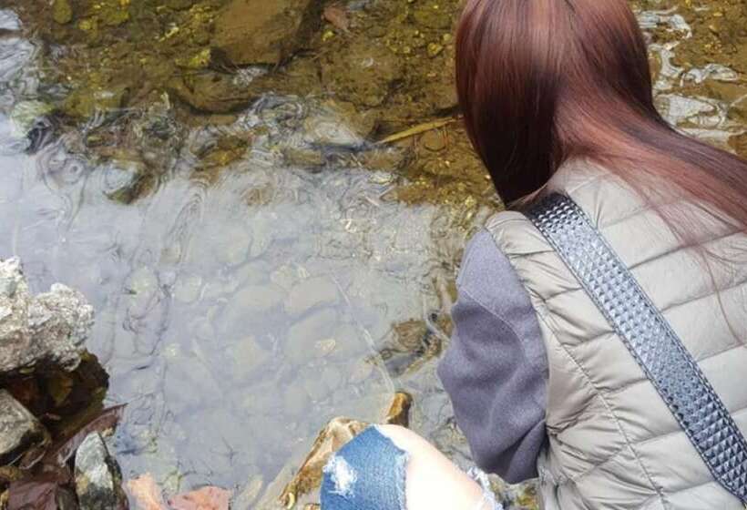 Gapyeong Attirance Pension