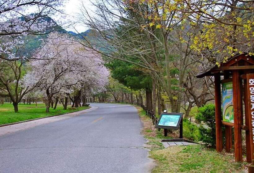 Goesan Geumseong Pension