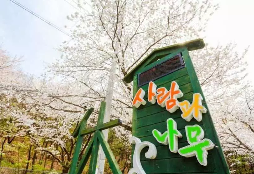 Gongju Man And Tree Pension