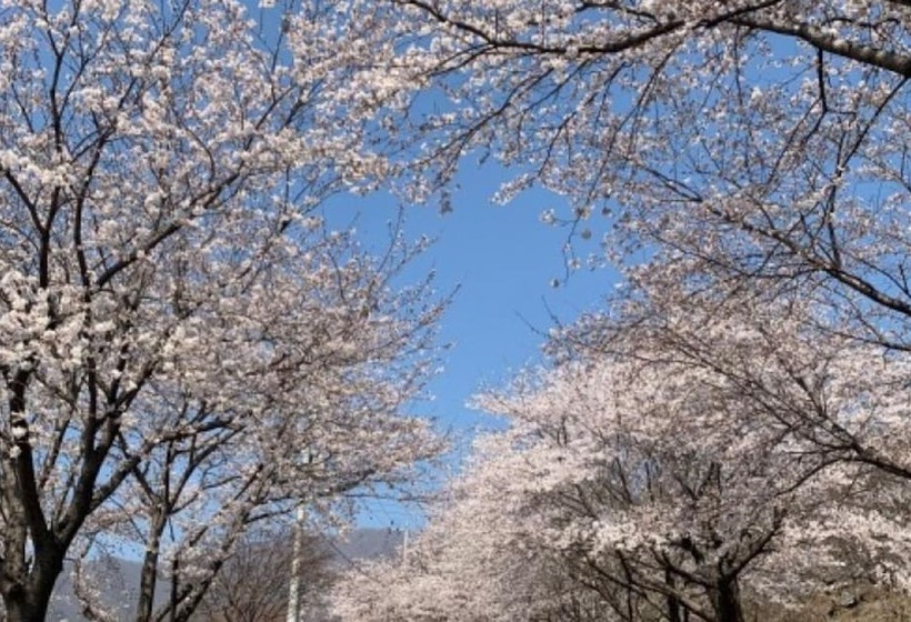 Gurye Jirisan Rosinante House Pension