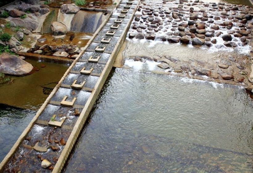 Gurye Soso Modern Pension