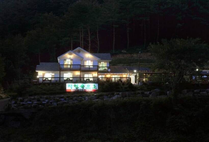 Jeongseon Into The Nature Pension