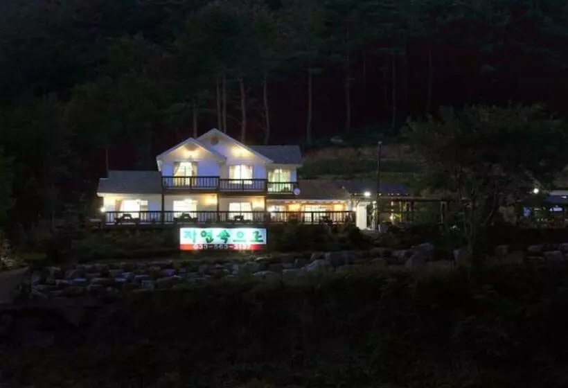Jeongseon Into The Nature Pension