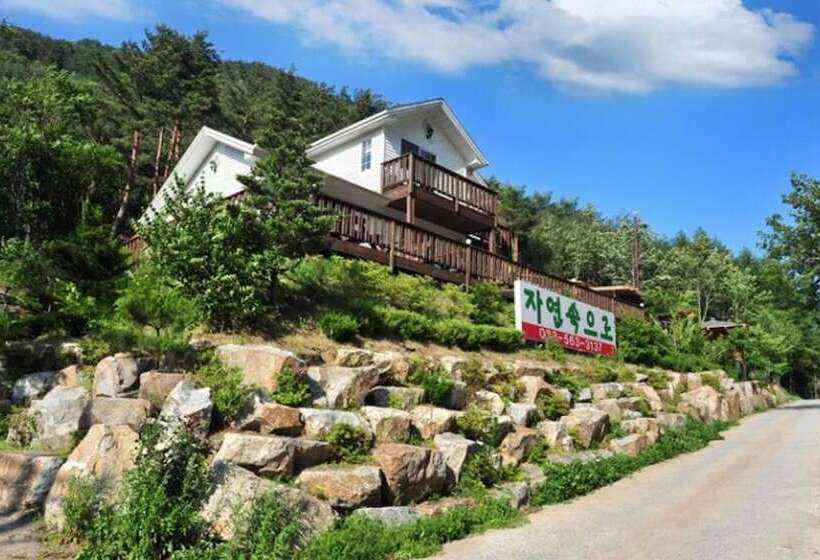 Jeongseon Into The Nature Pension