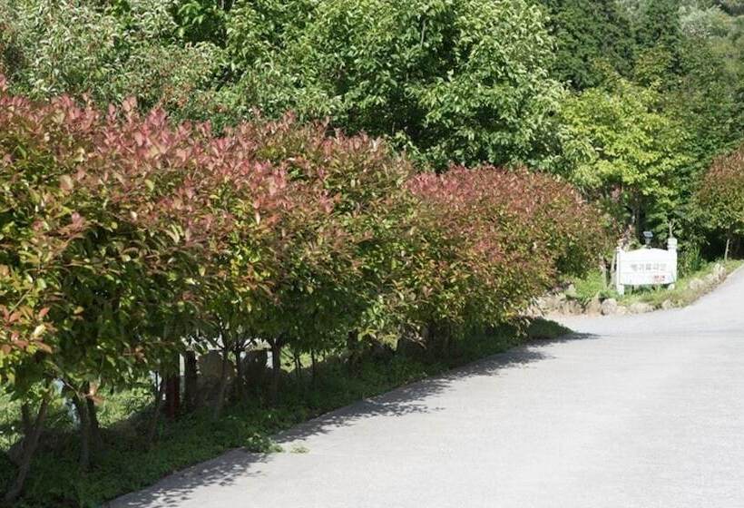 Pensão Namhae Capetown