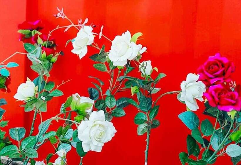 Namhae Jun Stay Pension