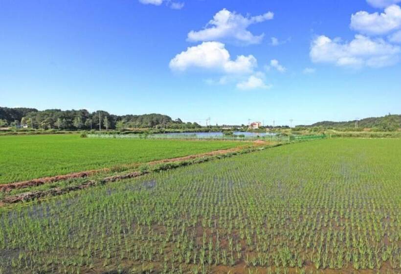 Gangneung Lua Garden Pension
