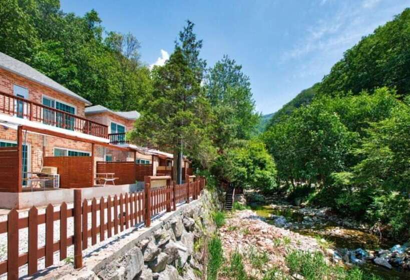 Pocheon Vincent House Pension