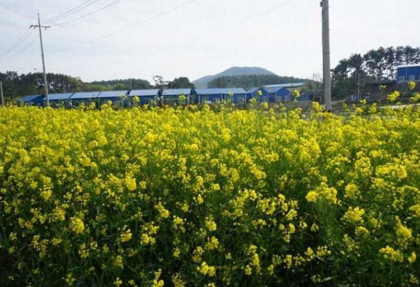Taean Seaman House Pension