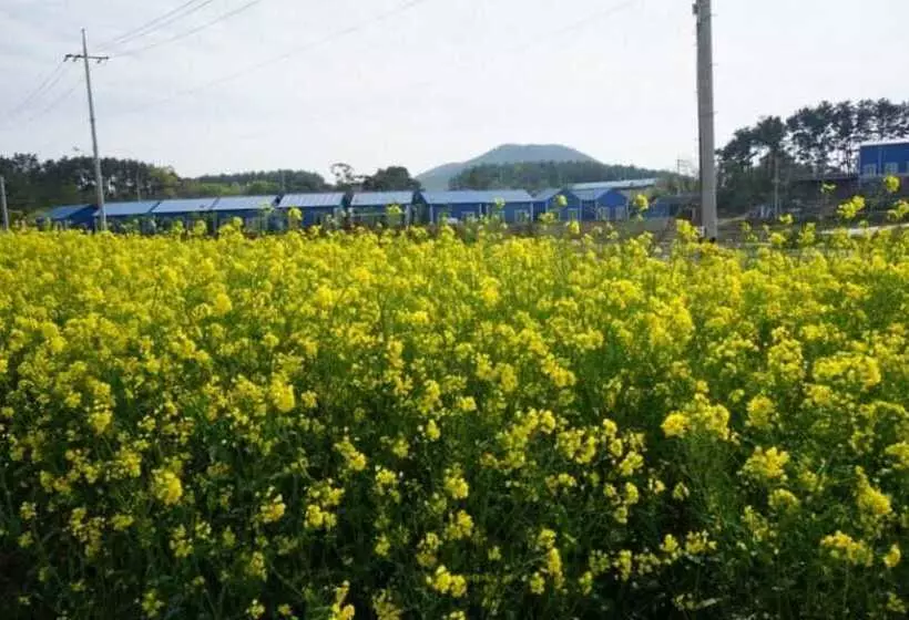 Taean Seaman House Pension