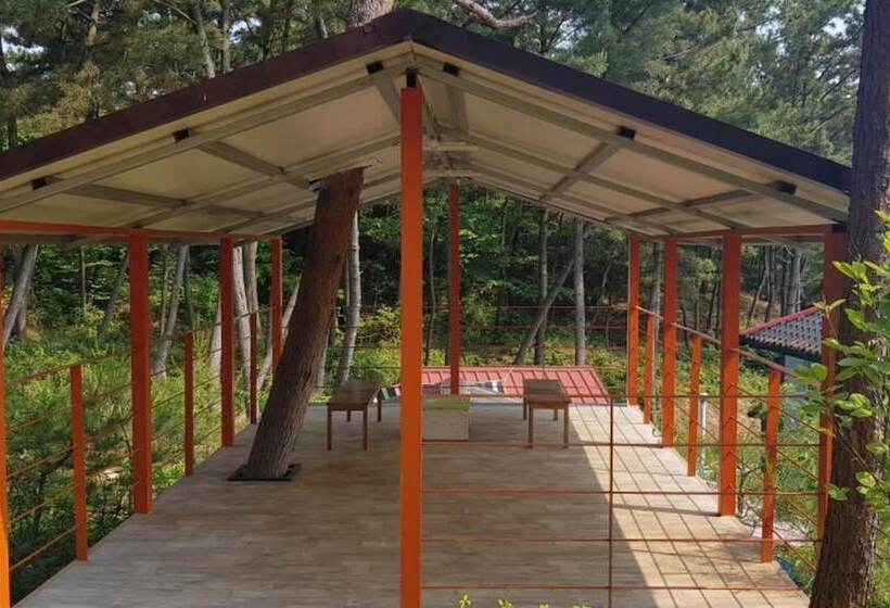 Taean Solbat Pension