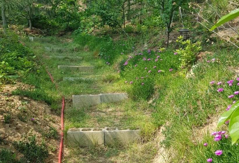 Taean Solbat Pension