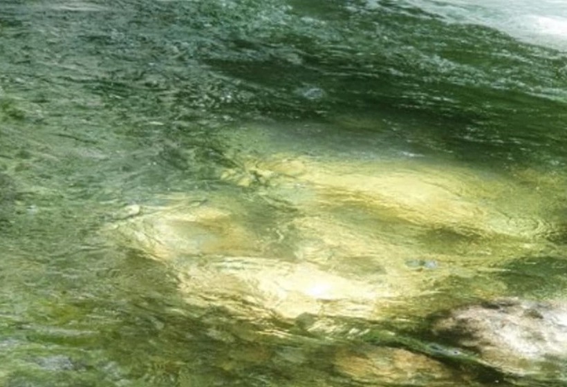 Yangpyeong Live Healing Pension