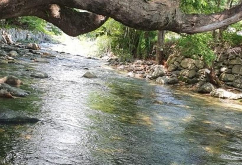 Yangpyeong Live Healing Pension