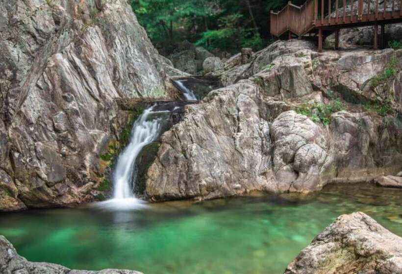 Yangpyeong Live Healing Pension