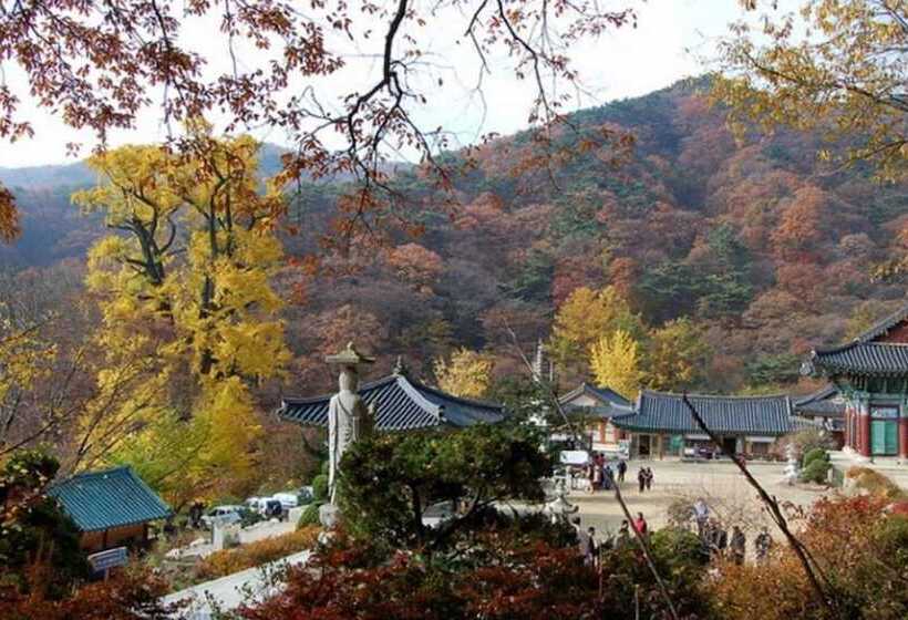 Yangpyeong Live Healing Pension