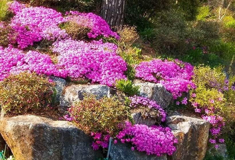 Yongin Byeolbaragi Pension