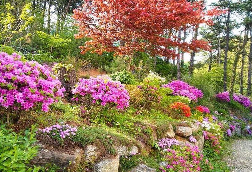 Yongin Byeolbaragi Pension