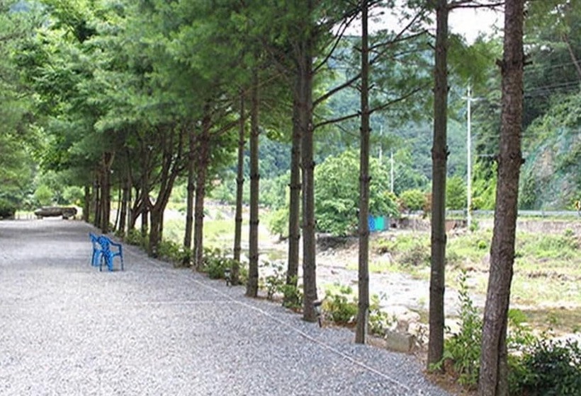Youngwol Sky Pension Camping