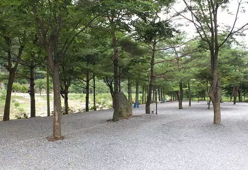 Youngwol Sky Pension Camping