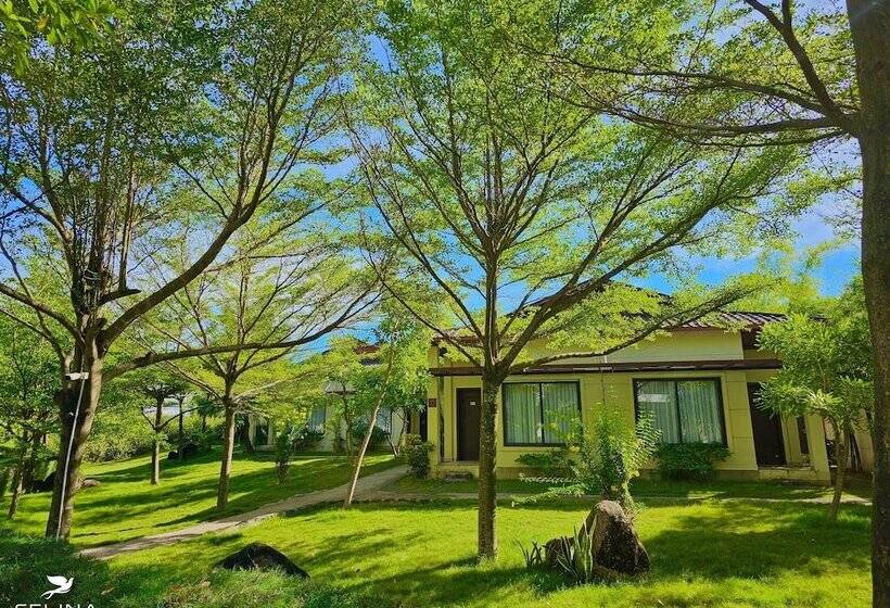 Celina Peninsula Resort