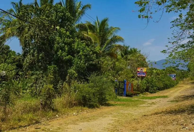 ホテル Balneario Y Cabañas Isis