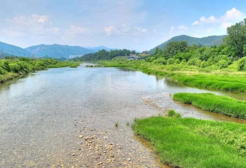 בית מלון כפרי Hongcheon Orange Pekoe Pension