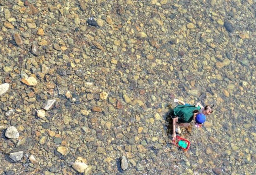 בית מלון כפרי Hongcheon Orange Pekoe Pension