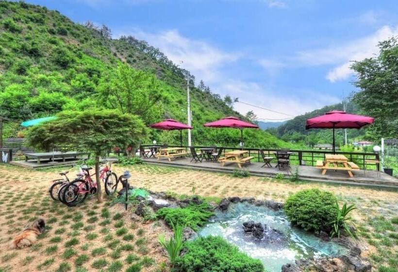 בית מלון כפרי Hongcheon Orange Pekoe Pension