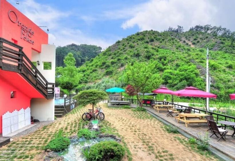 בית מלון כפרי Hongcheon Orange Pekoe Pension