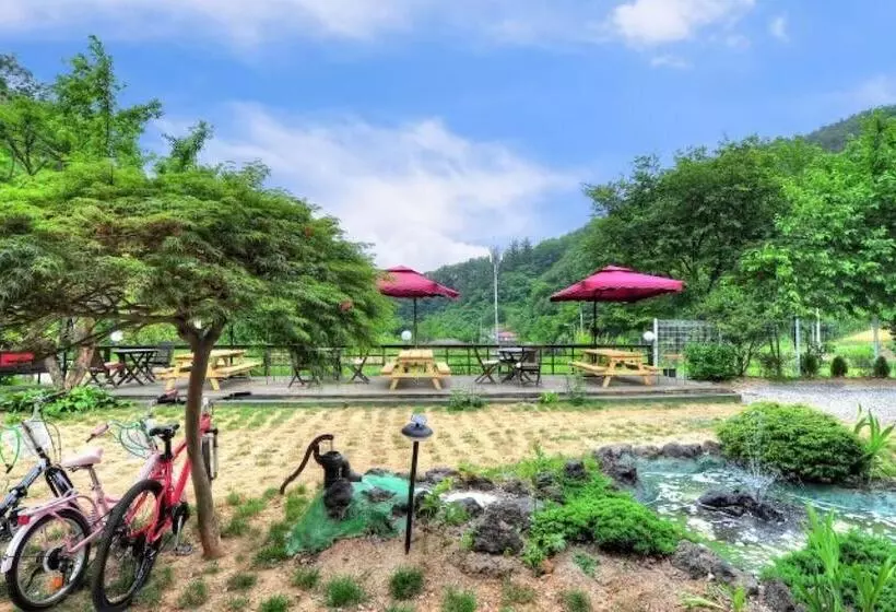ホテル Hongcheon Orange Pekoe Pension