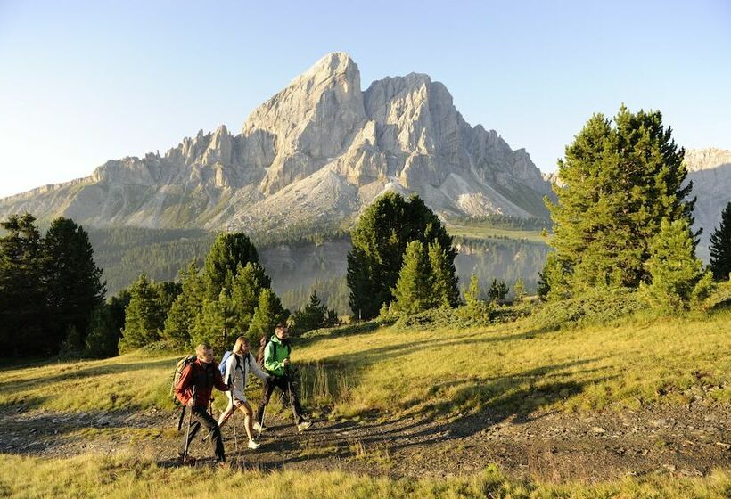 Bed and Breakfast Natur Garni Mia Cô