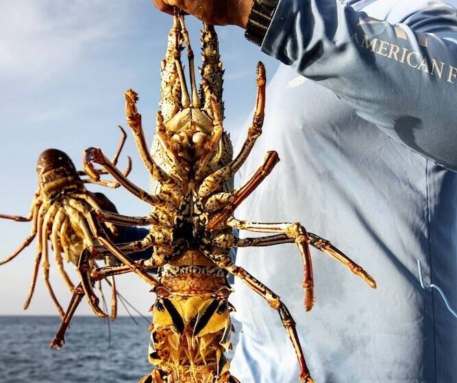 Golden Rock Dive And Nature Resort