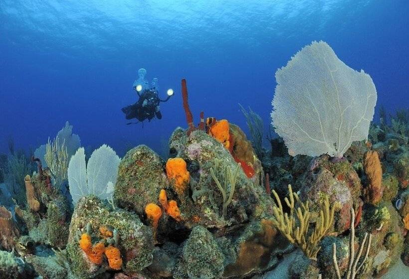 Golden Rock Dive And Nature Resort