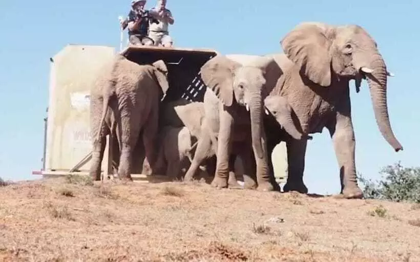 ホテル Blaauwbosch Private Game Reserve