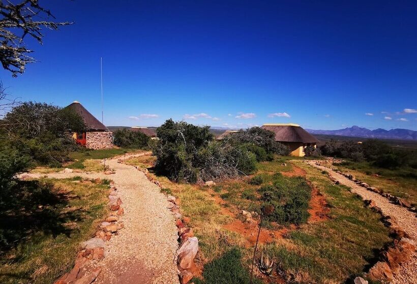 Отель Blaauwbosch Private Game Reserve