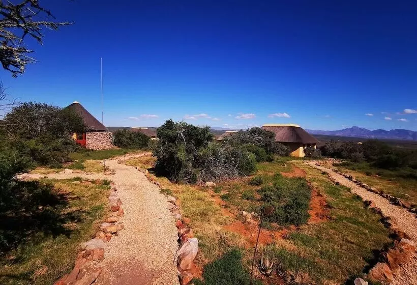 ホテル Blaauwbosch Private Game Reserve