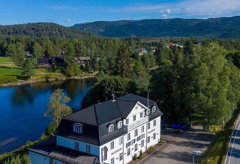 Отель Dølen