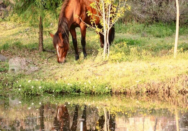 호텔 Hacienda Compostela