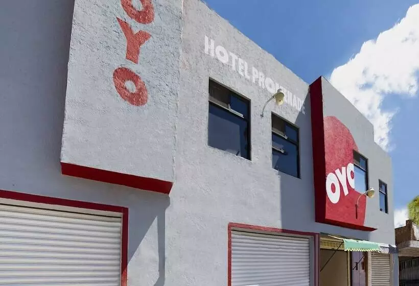 Hotelli Oyo Promenade,terminal Central De Autobuses De Guanajuato