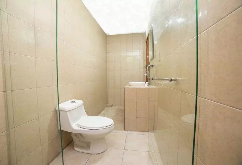 Hotelli Oyo Promenade,terminal Central De Autobuses De Guanajuato