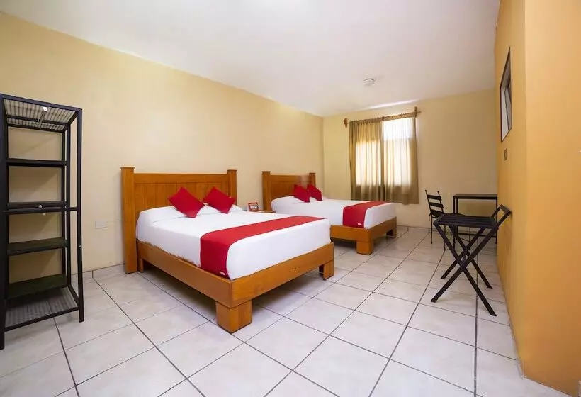 Hotelli Oyo Promenade,terminal Central De Autobuses De Guanajuato