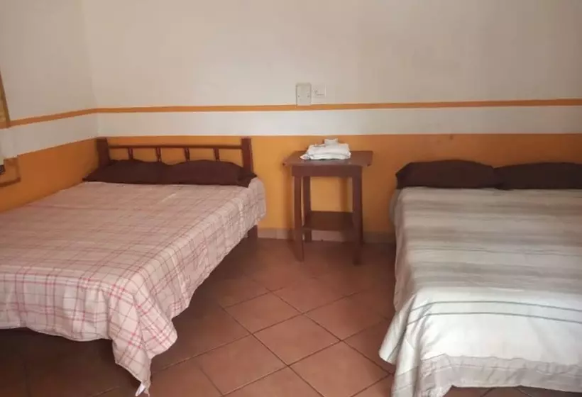 ホテル Posada Villa Del Carmen