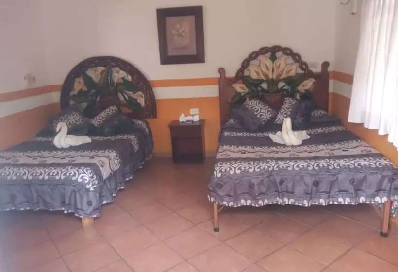 ホテル Posada Villa Del Carmen