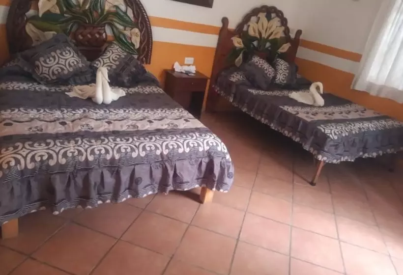 ホテル Posada Villa Del Carmen