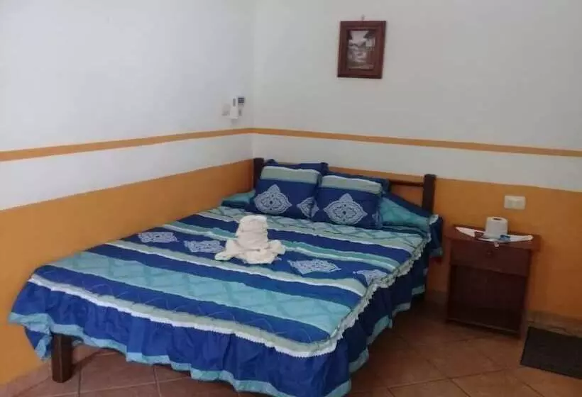 ホテル Posada Villa Del Carmen
