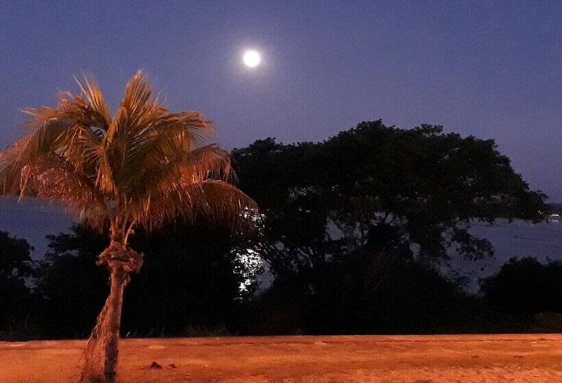 Hotel Taruma Tropical