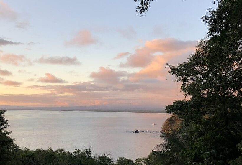 هتل Vista Ocean Suites